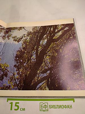 Иле Алатауы Заилийский Алатау