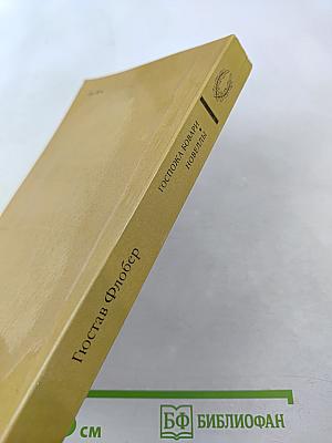 Госпожа Бовари. Новеллы