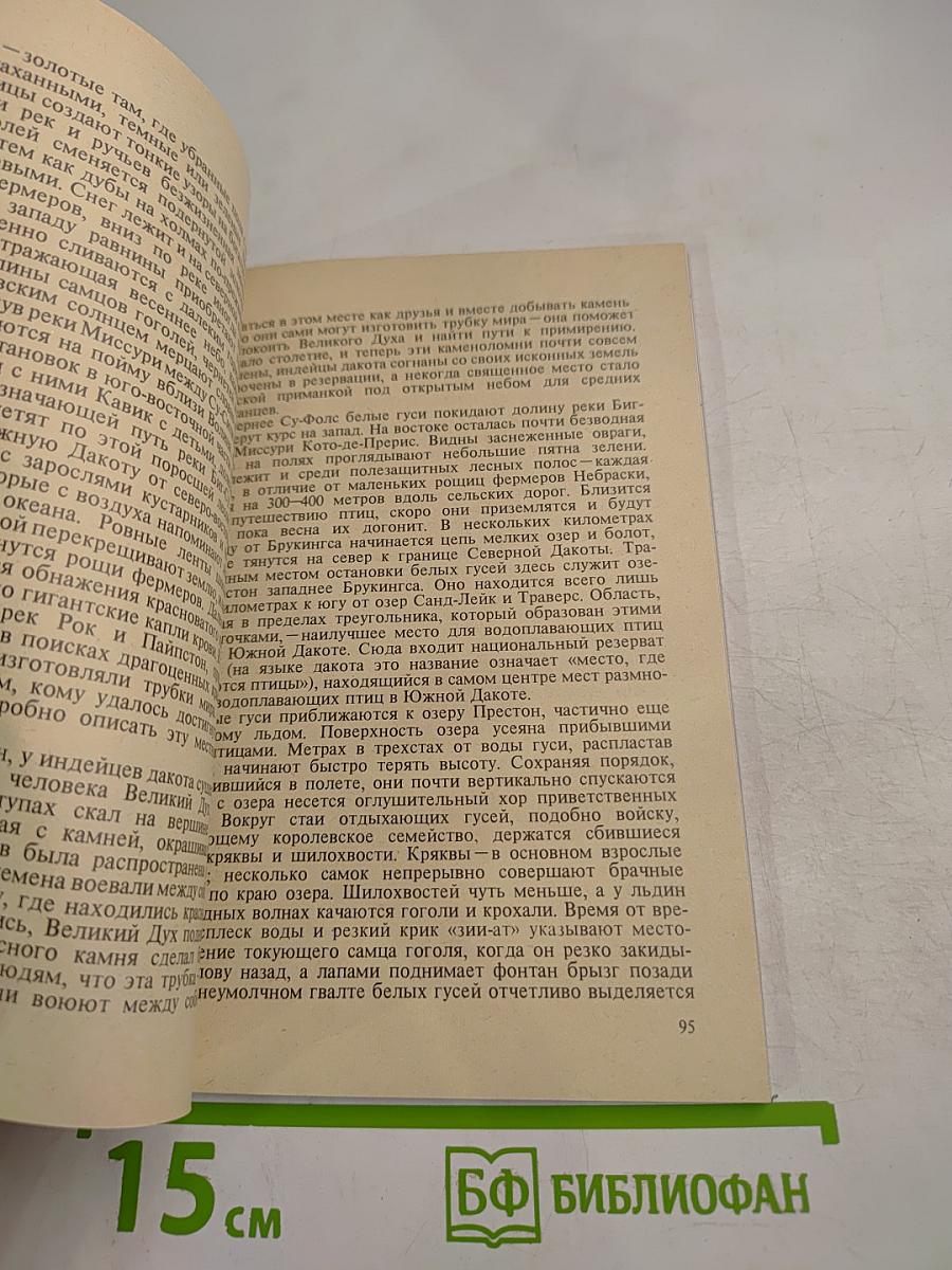 Песнь Северного Ветра