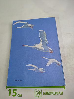 Песнь Северного Ветра