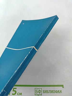 Евклидова планиметрия