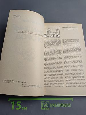 Домашний огород