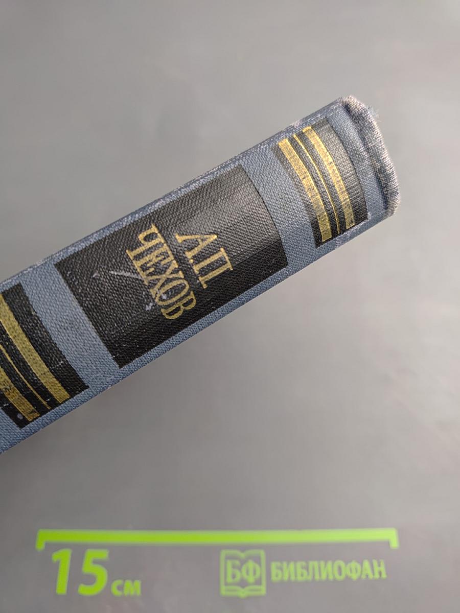 Собрание сочинений в восьми томах. Том 5. Рассказы, повести, статьи 1891–1895