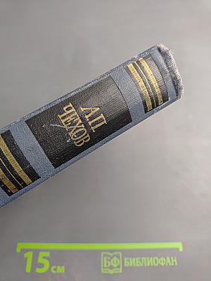 Собрание сочинений в восьми томах. Том 5. Рассказы, повести, статьи 1891–1895