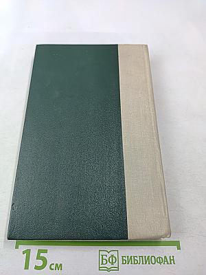 Война и мир. Том 3