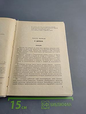 Бухара. Воспоминания. Книга 1