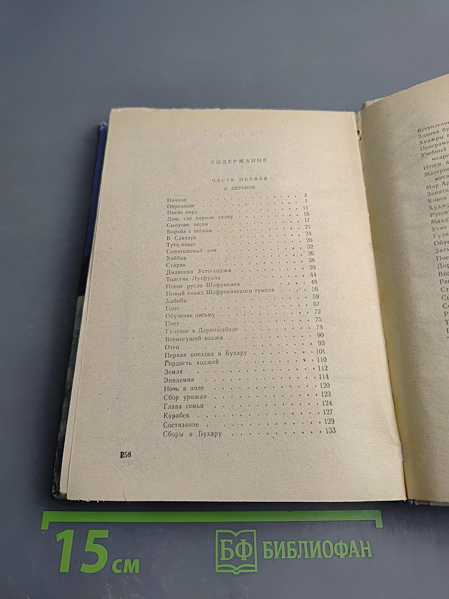 Бухара. Воспоминания. Книга 1