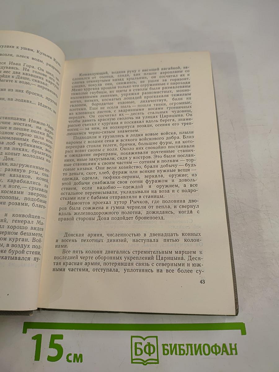 Хождение по мукам. Том второй