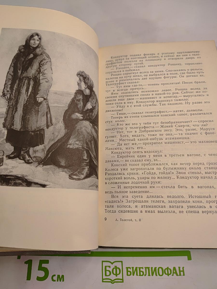 Хождение по мукам. Том второй