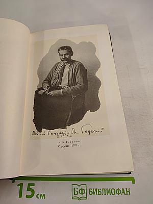 Собрание сочинений в 30 томах. Том 18: Дело Артамоновых. Рассказы и наброски 1922-1928