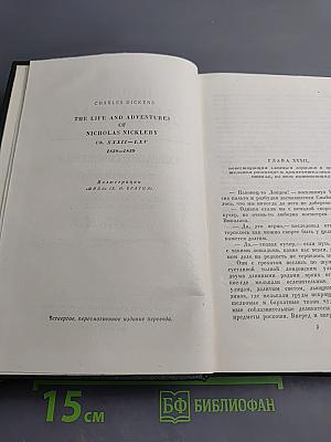 Жизнь и приключения Николаса Никльби. Том 6