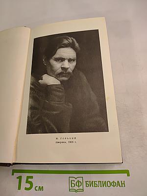 Мать. Рассказы. Очерк. Том восьмой