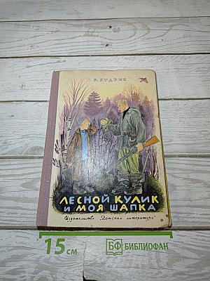 Лесной кулик и моя шапка