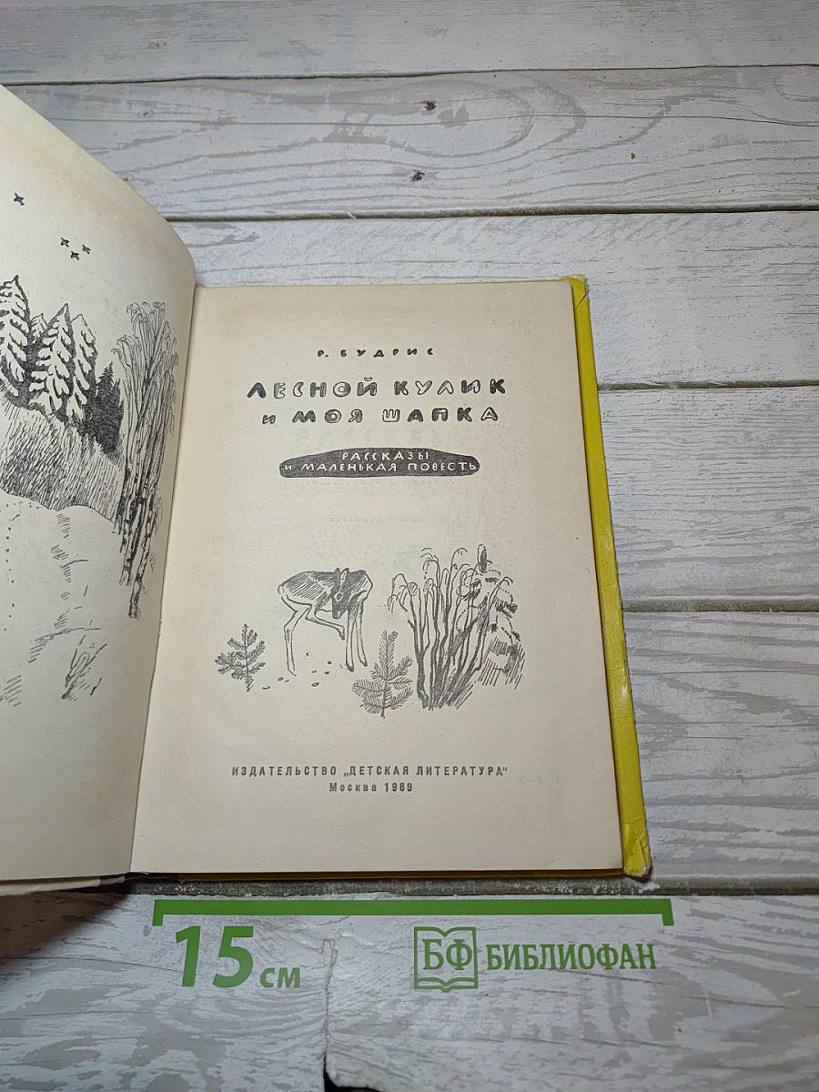 Лесной кулик и моя шапка