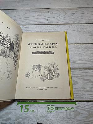 Лесной кулик и моя шапка