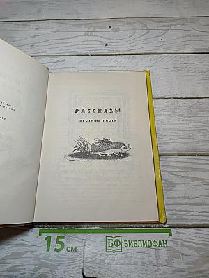 Лесной кулик и моя шапка