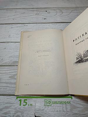 Лесной кулик и моя шапка