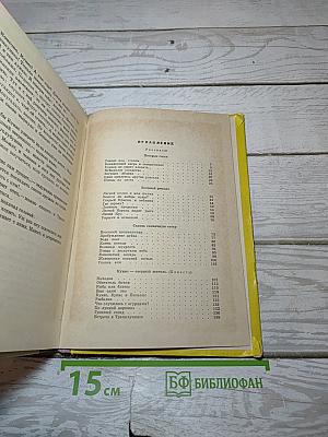 Лесной кулик и моя шапка