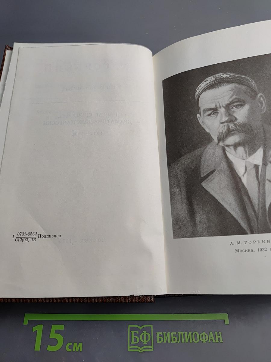 Собрание сочинений. Том девятнадцатый. Пьесы, сценарии, драматические наброски 1917-1935
