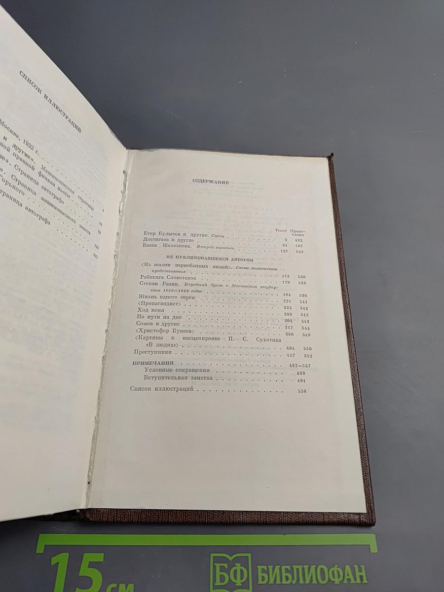 Собрание сочинений. Том девятнадцатый. Пьесы, сценарии, драматические наброски 1917-1935