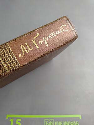 Собрание сочинений. Том девятнадцатый. Пьесы, сценарии, драматические наброски 1917-1935