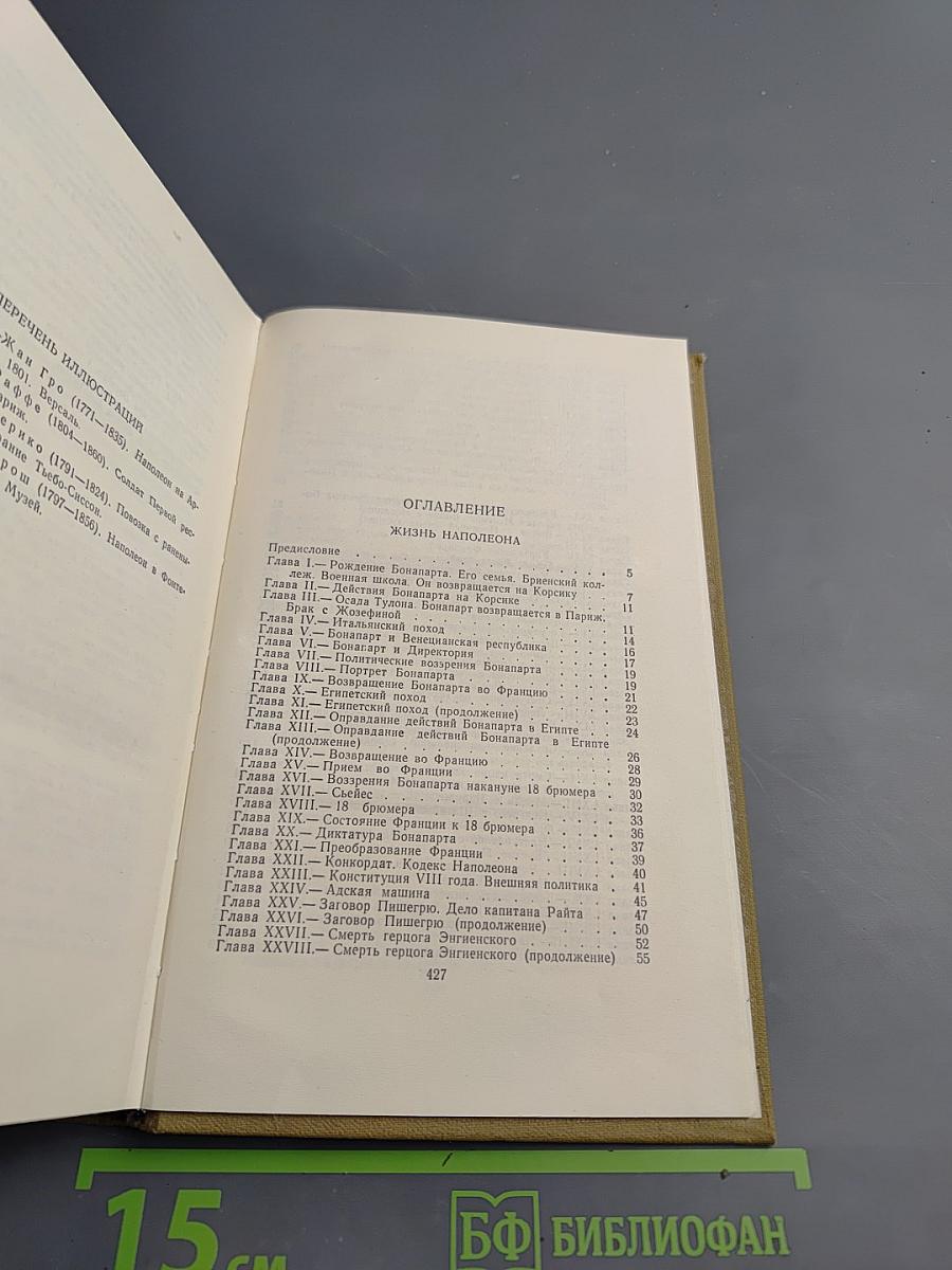 Собрание сочинений в пятнадцати томах. Том одиннадцатый: Жизнь Наполеона