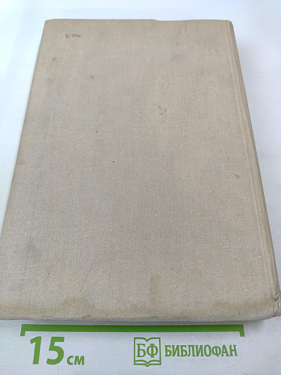 Россия молодая