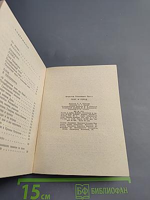 Поэт и город