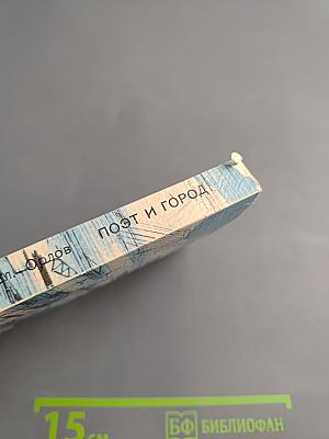 Поэт и город