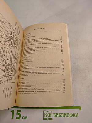 Целительные силы