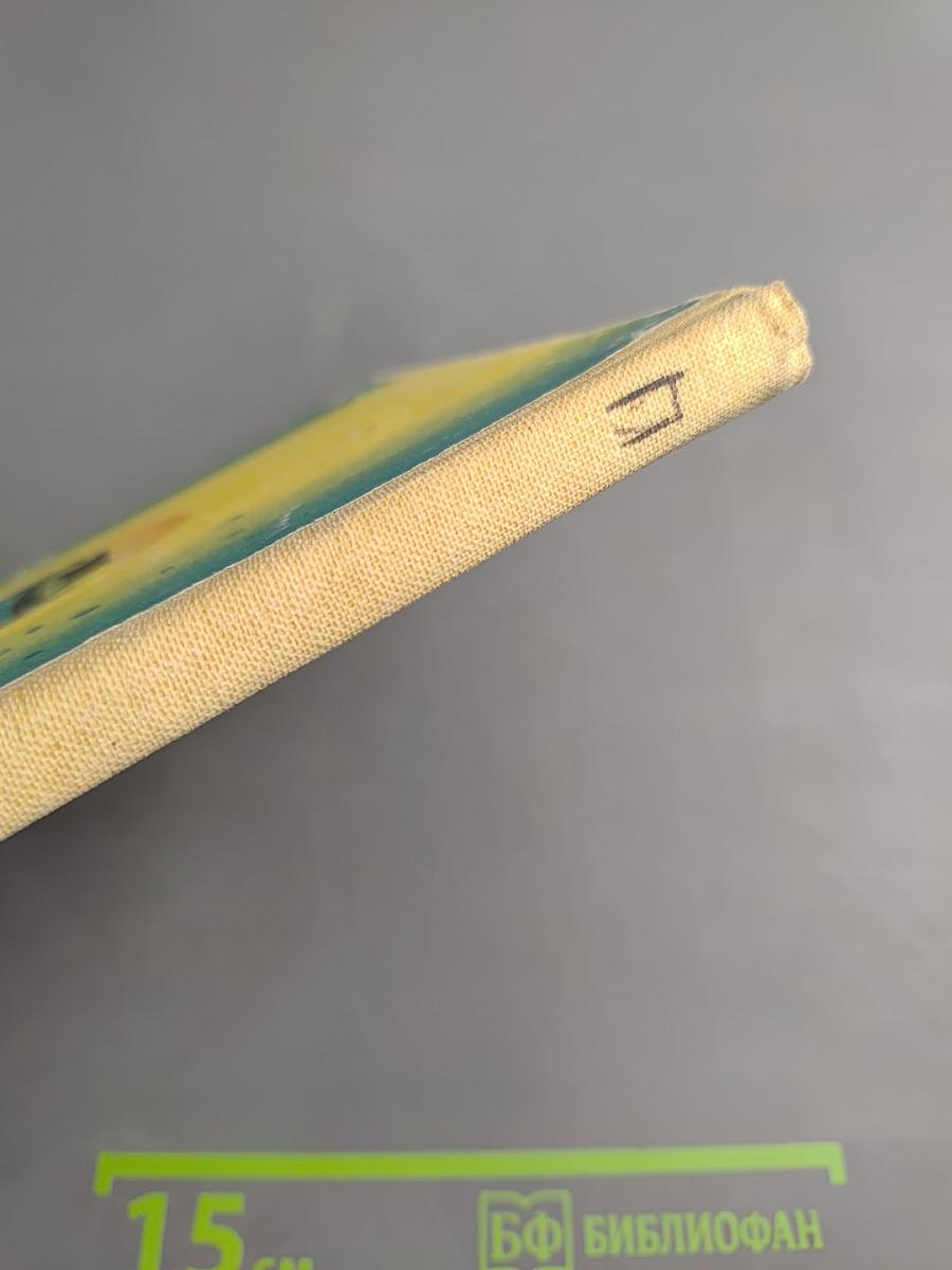 С метром по векам