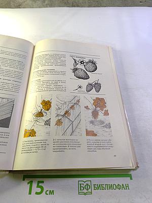 Плодовые культуры