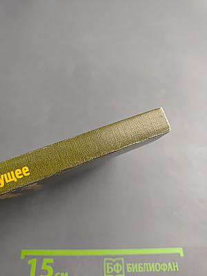 Русское будущее