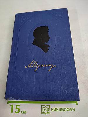 А. Пушкин. Полное собрание сочинений. Том 8: Письма (1815-1830)