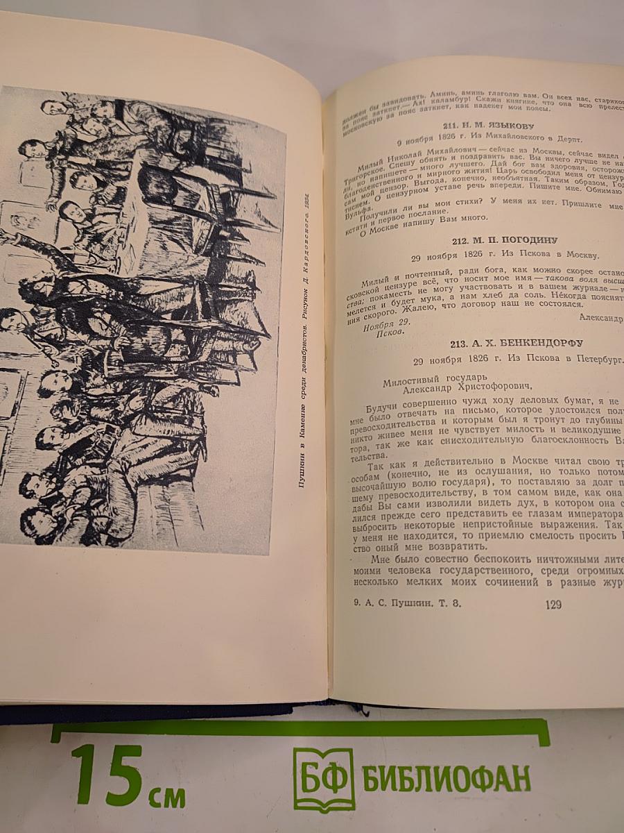 А. Пушкин. Полное собрание сочинений. Том 8: Письма (1815-1830)
