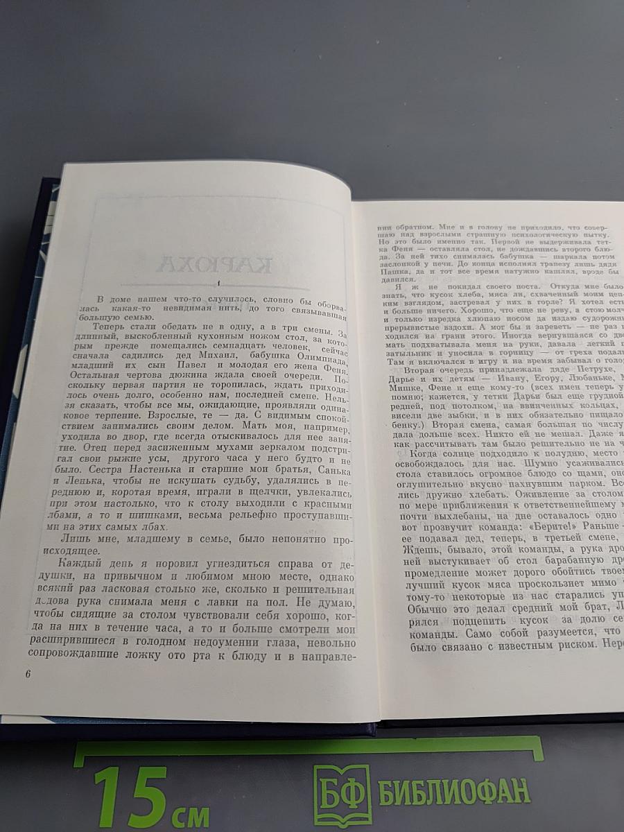 Собрание сочинений в восьми томах. Том Шестой: Карюха. Драчуны