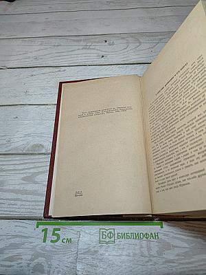 Чапаев. Красный десант. Мятеж