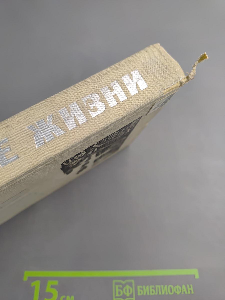 На дороге жизни