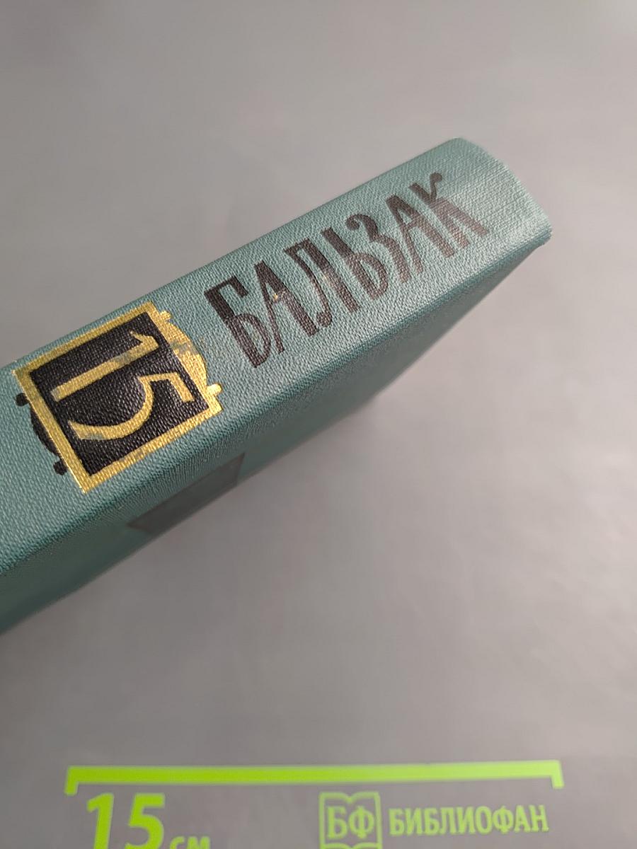 Собрание сочинений в 24 томах. Том 15. Человеческая комедия. Сцены Парижской жизни. Мелкие буржуа