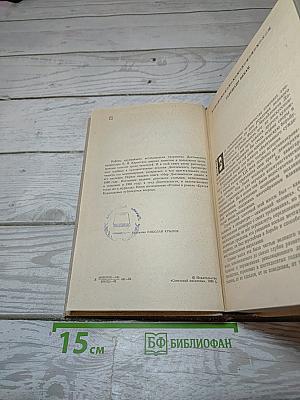 Мир Достоевского