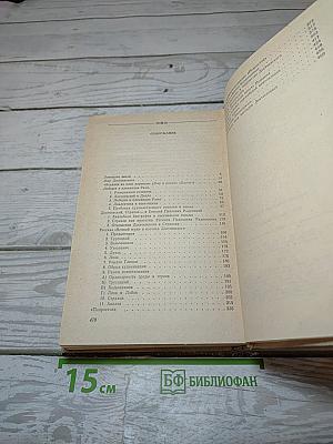 Мир Достоевского