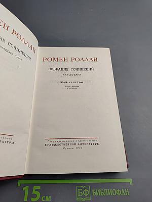 Собрание сочинений. Том шестой. Жан-Кристоф. Книга девятая: Неопалимая купина. Книга десятая: Грядущий день
