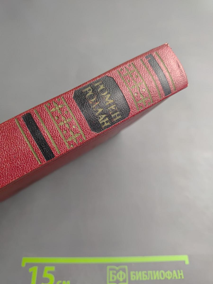 Собрание сочинений. Том шестой. Жан-Кристоф. Книга девятая: Неопалимая купина. Книга десятая: Грядущий день