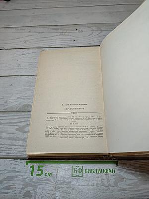 Мир Достоевского