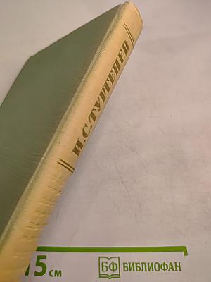 Собрание сочинений. Том четвертый: Дым, Новь