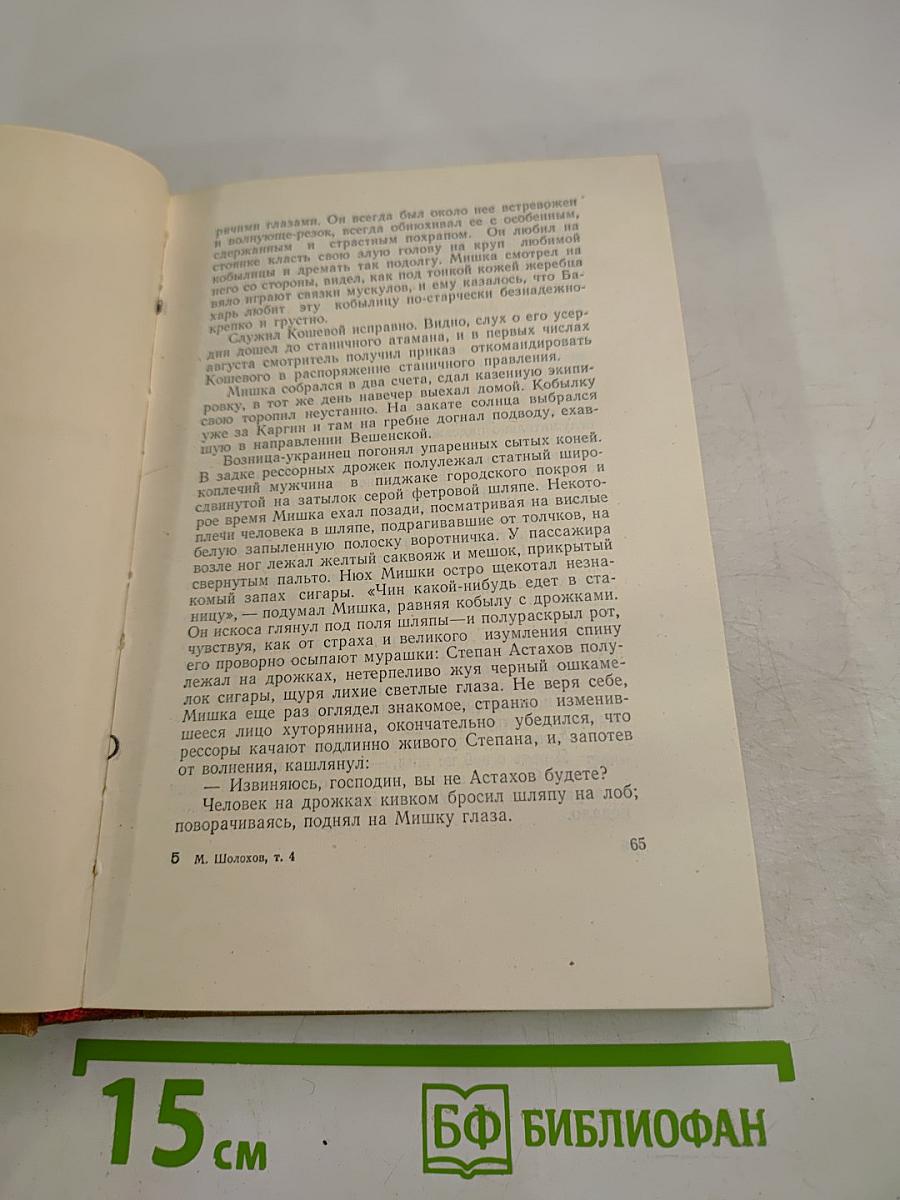 Тихий Дон. Том 4