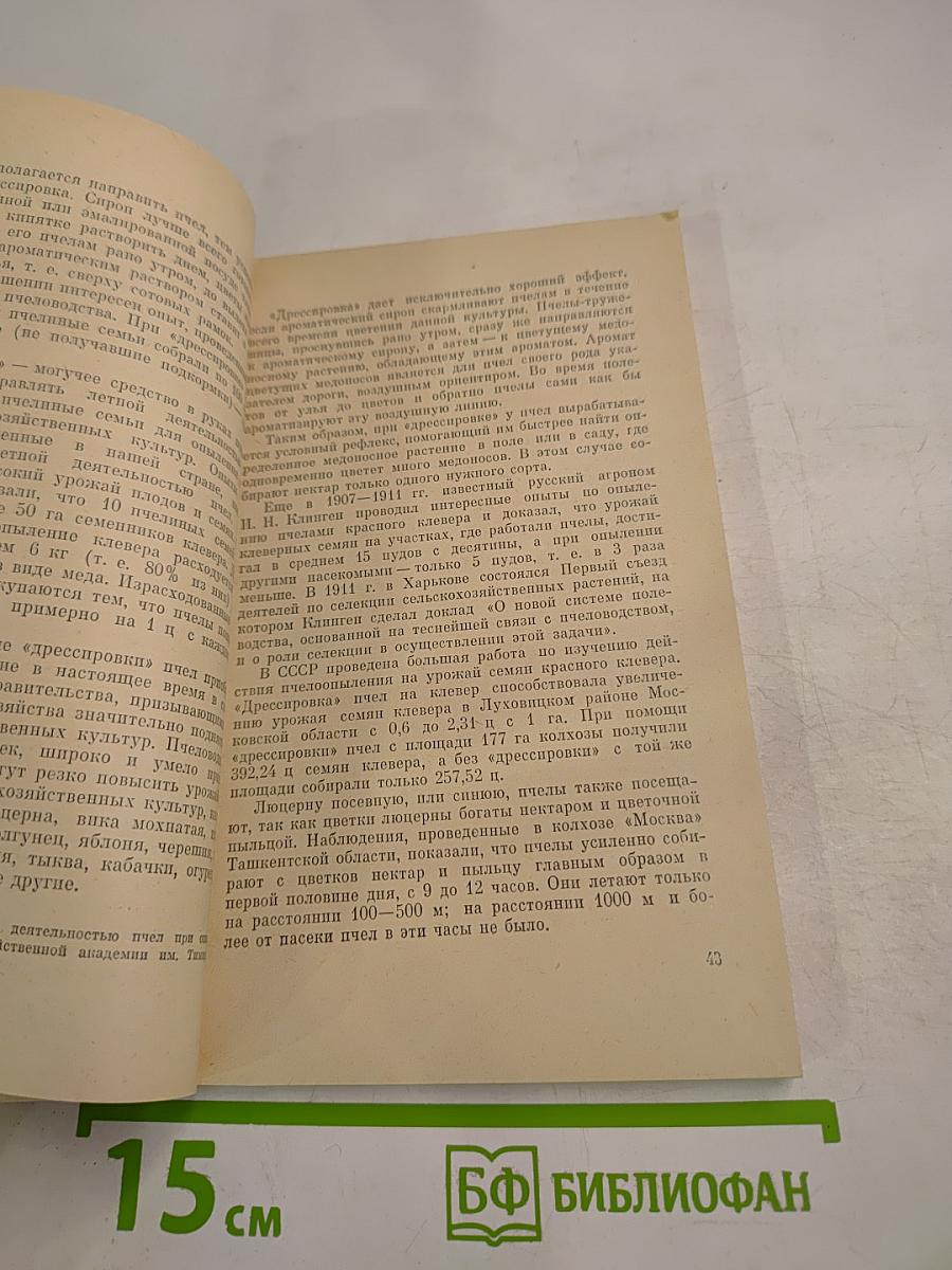 Пчелы — человеку