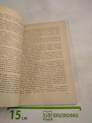 Пчелы — человеку