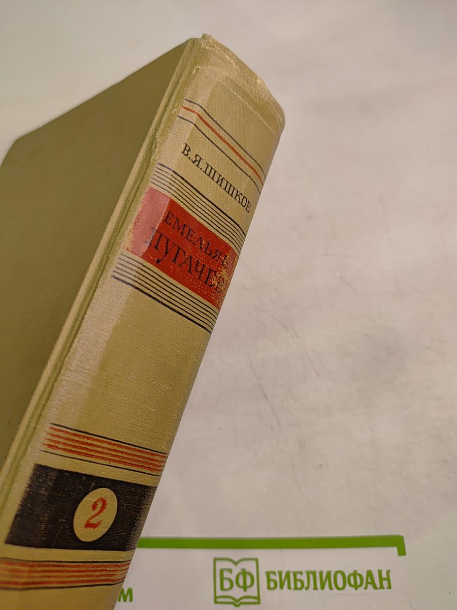 Емельян Пугачев. Книга вторая