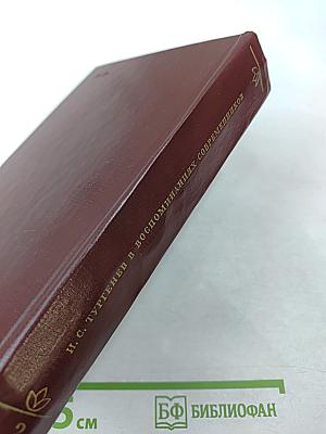 И. С. Тургенев в воспоминаниях современников. Том второй